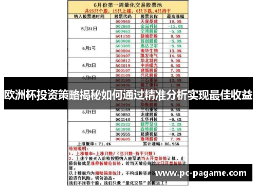 欧洲杯投资策略揭秘如何通过精准分析实现最佳收益