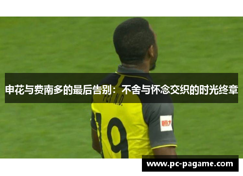 申花与费南多的最后告别：不舍与怀念交织的时光终章