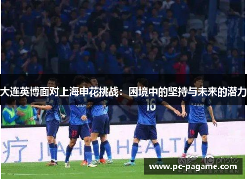 大连英博面对上海申花挑战：困境中的坚持与未来的潜力