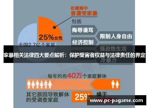 家暴相关法律四大要点解析：保护受害者权益与法律责任的界定