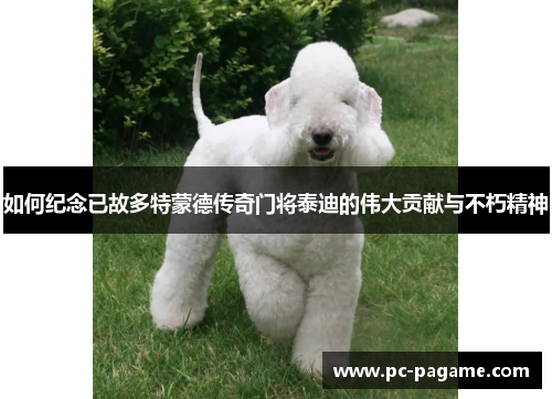 如何纪念已故多特蒙德传奇门将泰迪的伟大贡献与不朽精神