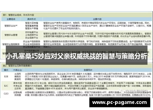 小孔塞桑巧妙应对父亲权威挑战的智慧与策略分析