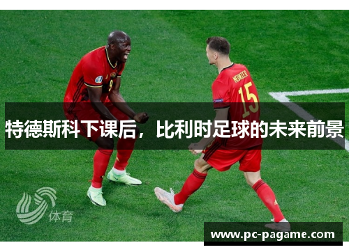 特德斯科下课后，比利时足球的未来前景
