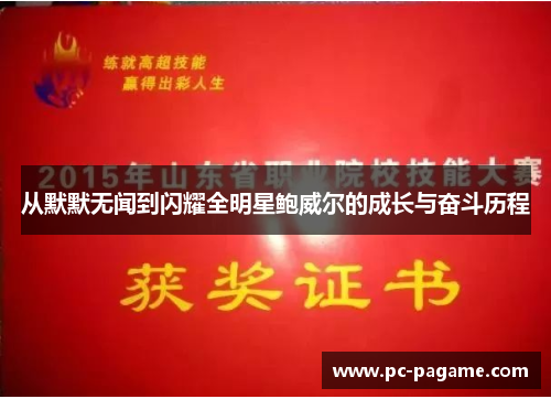 从默默无闻到闪耀全明星鲍威尔的成长与奋斗历程