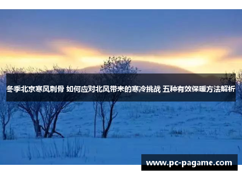 冬季北京寒风刺骨 如何应对北风带来的寒冷挑战 五种有效保暖方法解析