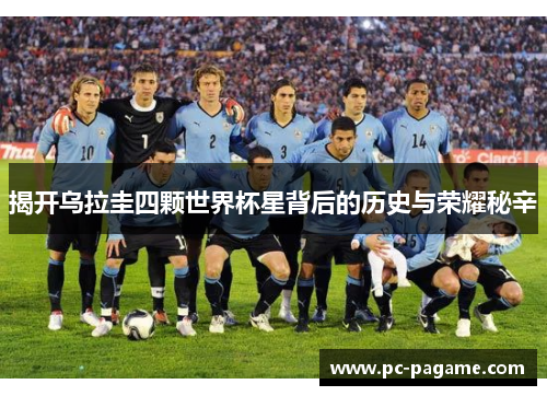 揭开乌拉圭四颗世界杯星背后的历史与荣耀秘辛