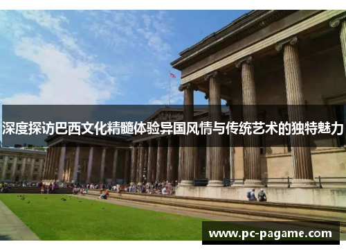 深度探访巴西文化精髓体验异国风情与传统艺术的独特魅力