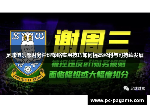 足球俱乐部财务管理策略实用技巧如何提高盈利与可持续发展