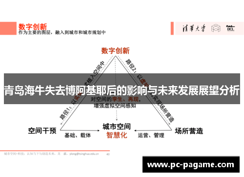 青岛海牛失去博阿基耶后的影响与未来发展展望分析