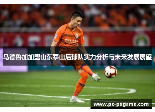 马德鲁加加盟山东泰山后球队实力分析与未来发展展望