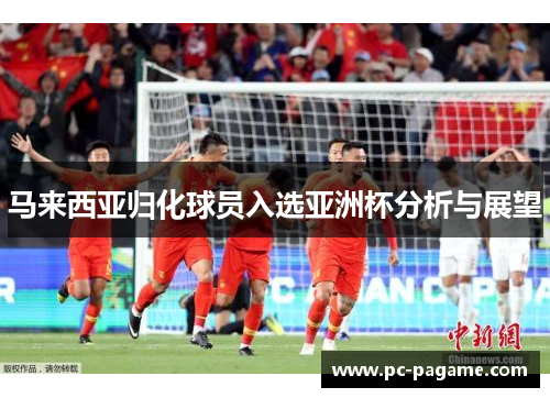 马来西亚归化球员入选亚洲杯分析与展望