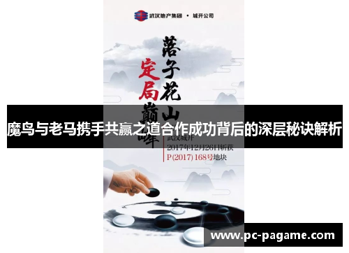 魔鸟与老马携手共赢之道合作成功背后的深层秘诀解析