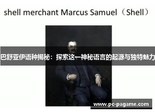 巴舒亚伊语种揭秘：探索这一神秘语言的起源与独特魅力