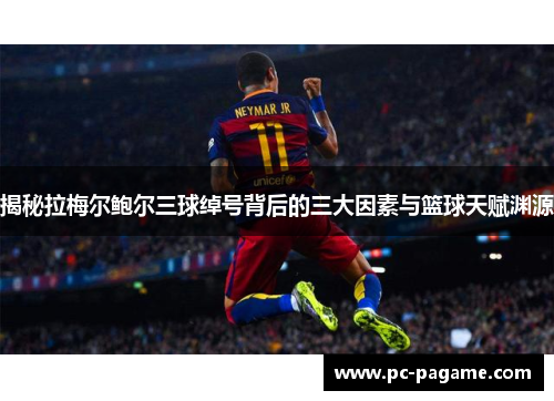 揭秘拉梅尔鲍尔三球绰号背后的三大因素与篮球天赋渊源