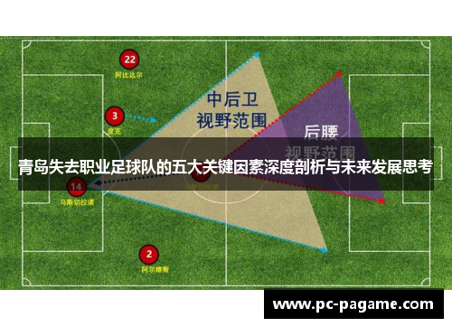 青岛失去职业足球队的五大关键因素深度剖析与未来发展思考 青岛失去职业足球队的五大关键因素深度剖析与未来发展思考