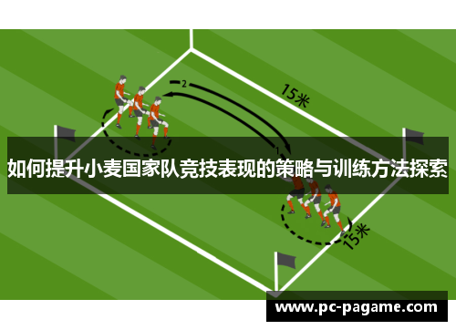 如何提升小麦国家队竞技表现的策略与训练方法探索