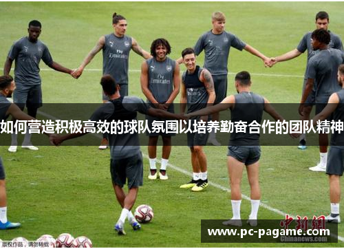 如何营造积极高效的球队氛围以培养勤奋合作的团队精神