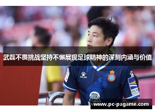 武磊不畏挑战坚持不懈展现足球精神的深刻内涵与价值