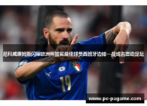 尼科威廉姆斯闪耀欧洲杯加冕最佳球员西班牙边锋一战成名震动足坛 尼科威廉姆斯闪耀欧洲杯加冕最佳球员西班牙边锋一战成名震动足坛