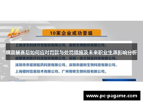 魏震禁赛后如何应对罚款与处罚措施及未来职业生涯影响分析