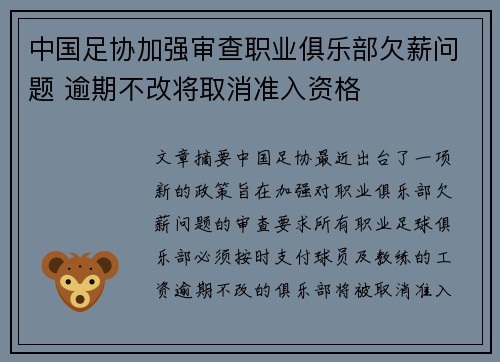 中国足协加强审查职业俱乐部欠薪问题 逾期不改将取消准入资格