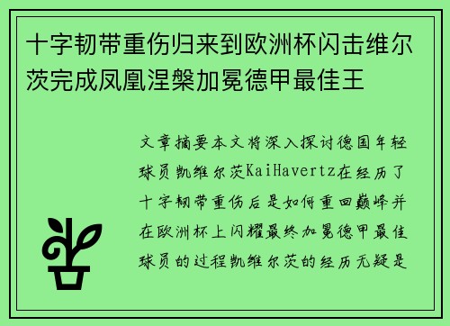 十字韧带重伤归来到欧洲杯闪击维尔茨完成凤凰涅槃加冕德甲最佳王 十字韧带重伤归来到欧洲杯闪击维尔茨完成凤凰涅槃加冕德甲最佳王